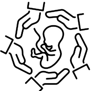 Team Page: Fruitful Multipliers